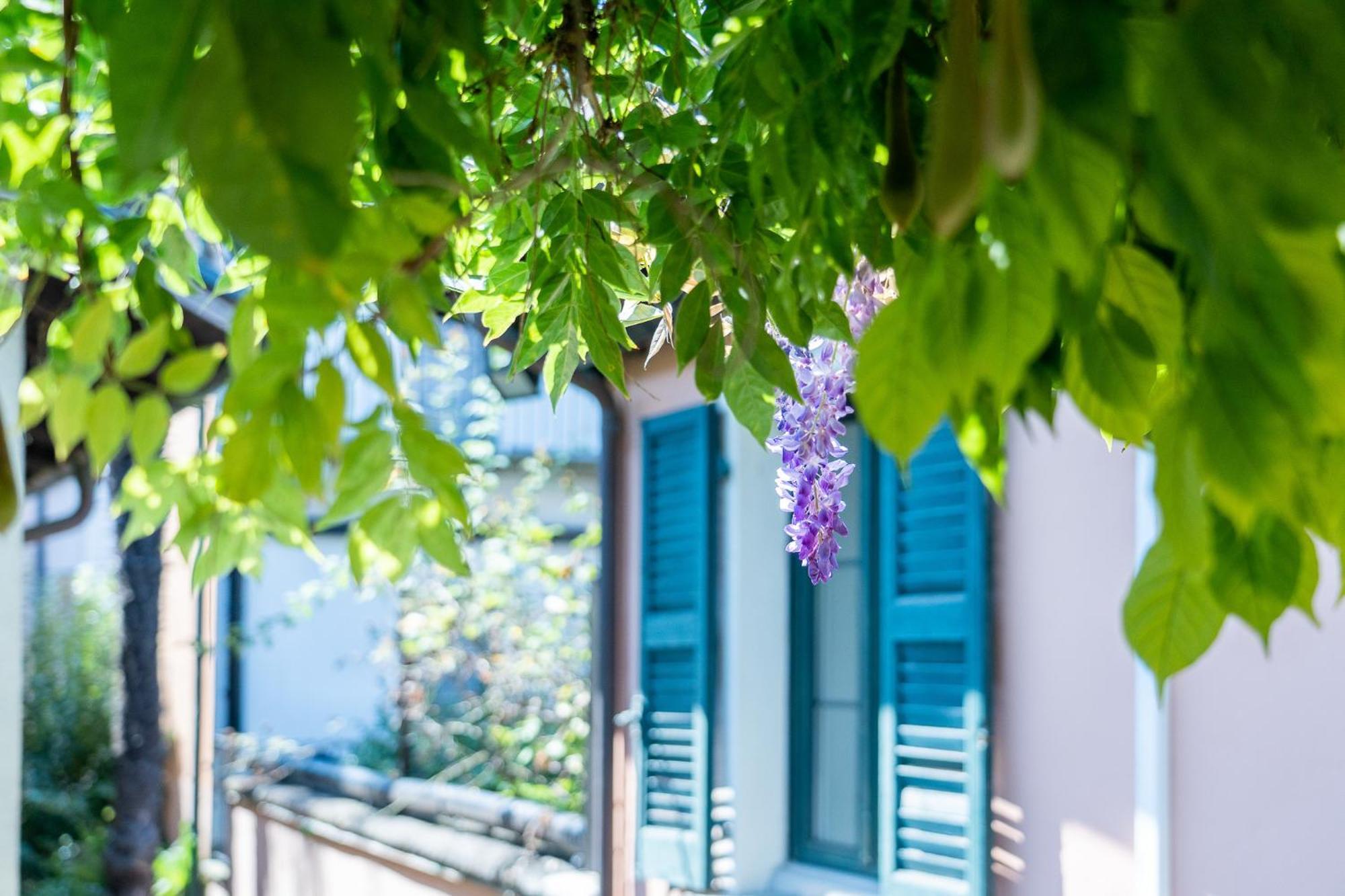 Seven Boutique Hotel Ascona Exterior photo